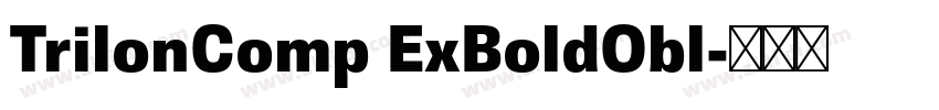 TrilonComp ExBoldObl字体转换 TrilonComp ExBoldObl字体转换